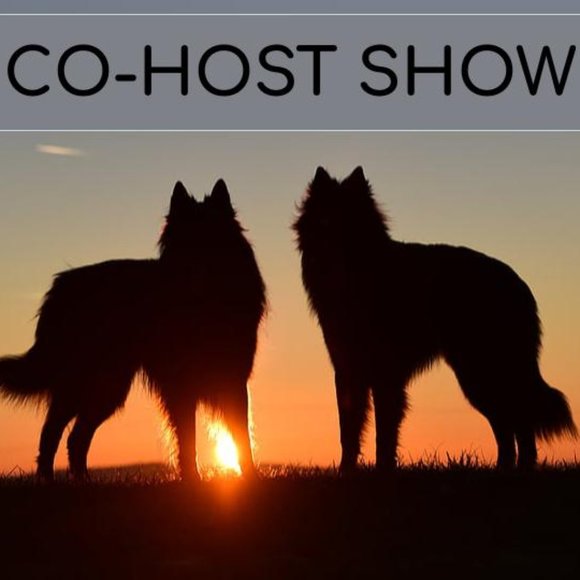 Flyer - Picture 2 of 6